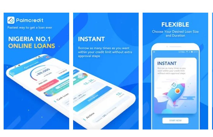 Palm credit loan app 