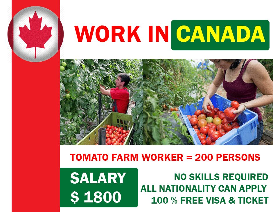 Farming Jobs In Canada For Foreigners